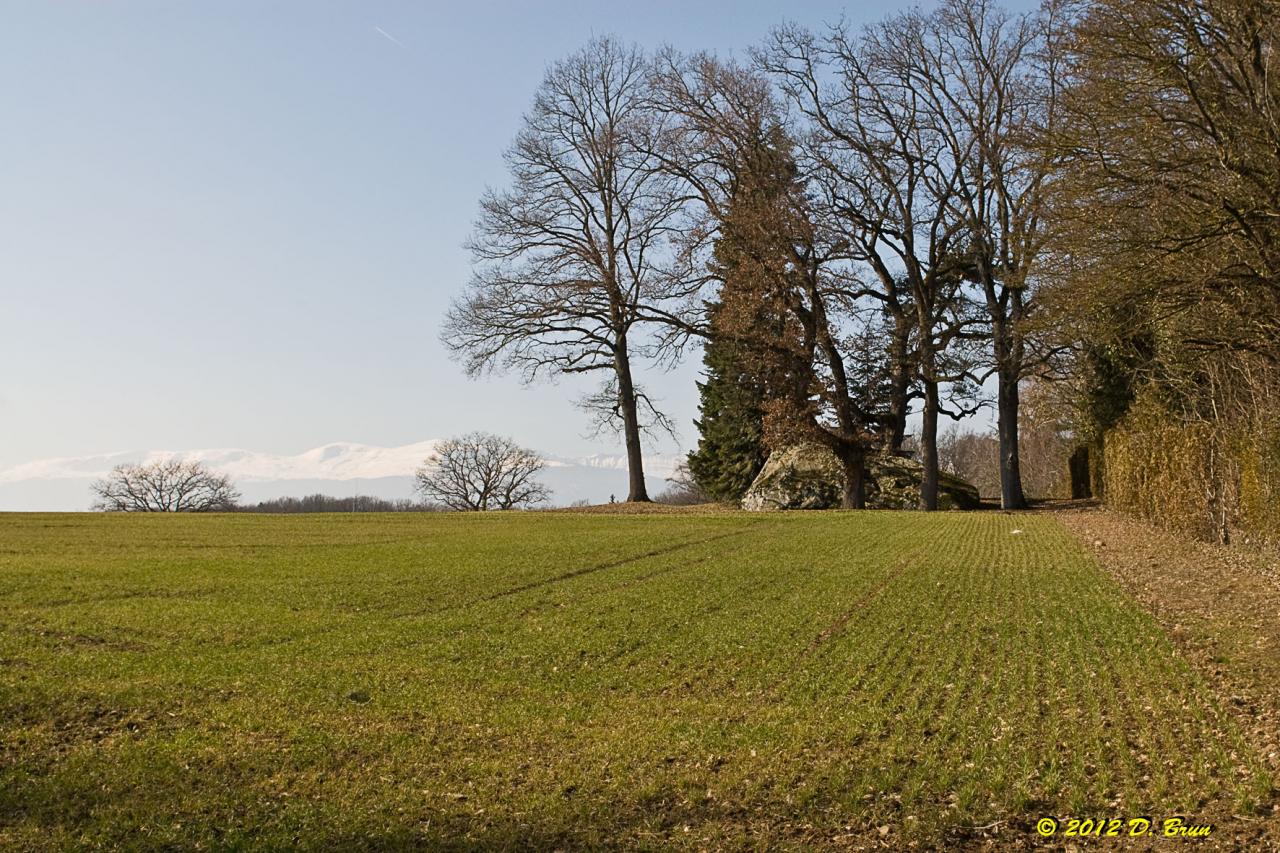 Sauvergny-Tannay-008