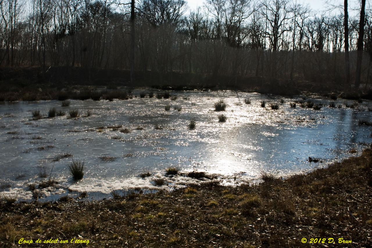 Sauvergny-Tannay-011