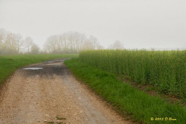 Sentier-nature-du Vuache-002