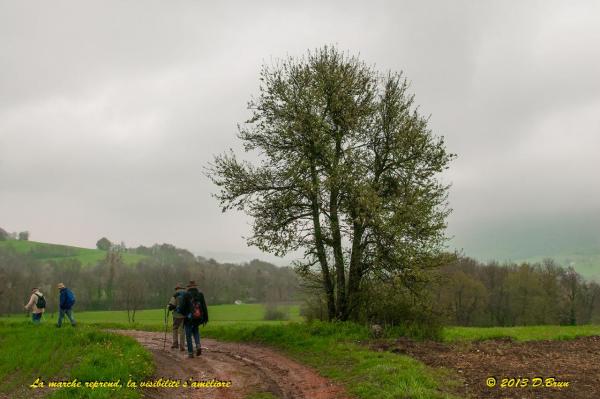 Sentier-nature-du Vuache-005