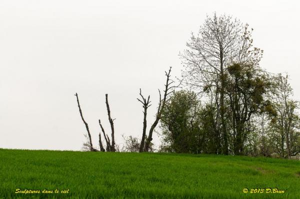 Sentier-nature-du Vuache-007