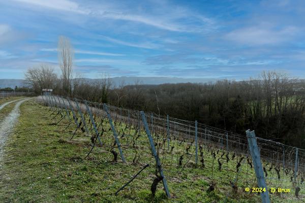 Sezegnin 02
