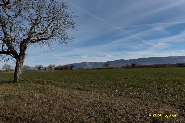 Sezegnin 07