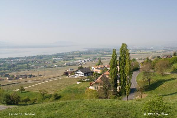 Signal de Bougy-001