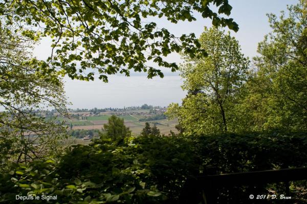 Signal de Bougy-008