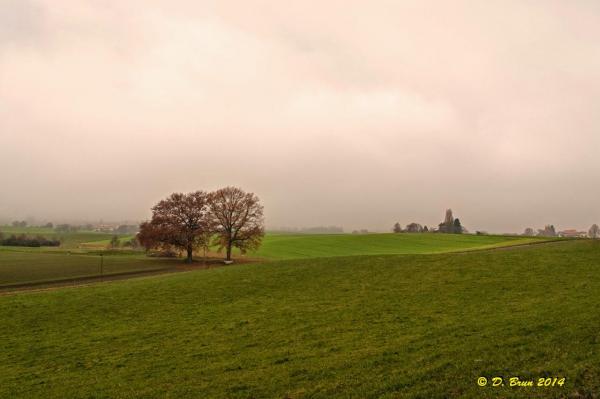 Signal-St Oyens-003