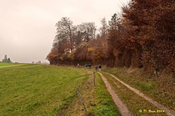 Signal-St Oyens-004