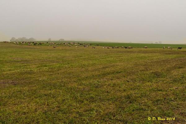 Signal-St Oyens-006