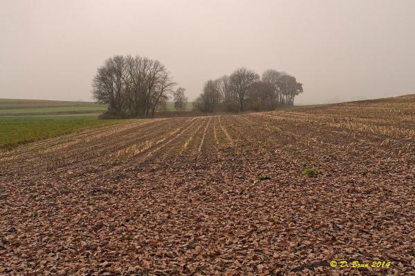 Signal-St Oyens-009