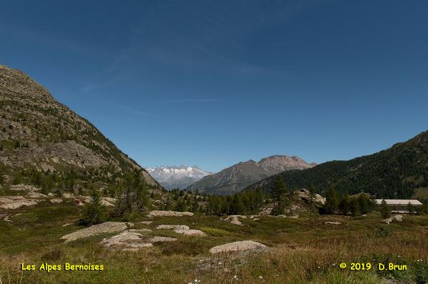 Simplon-1-005