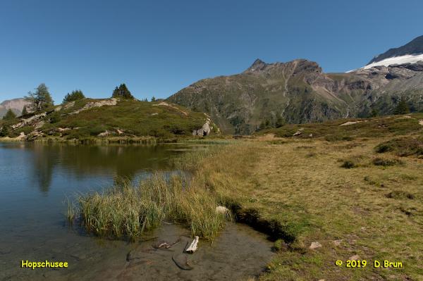 Simplon-1-009
