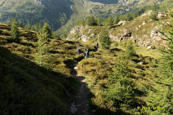 Simplon-2-011