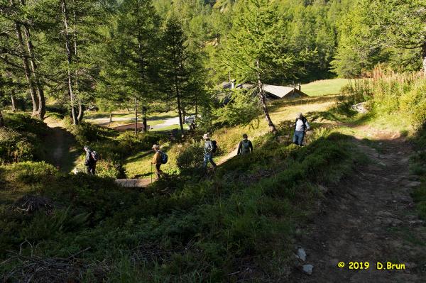 Simplon-2-012