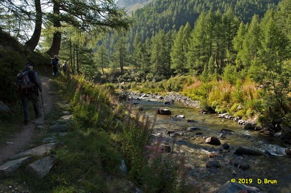 Simplon-2-015