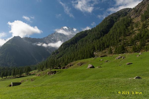 Simplon-2-022