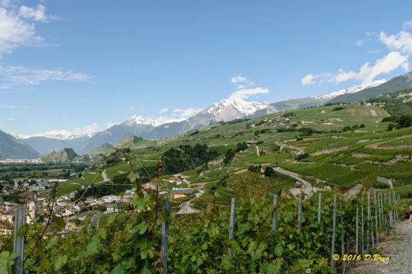 St-Léonard-Sierre-Leuk-003