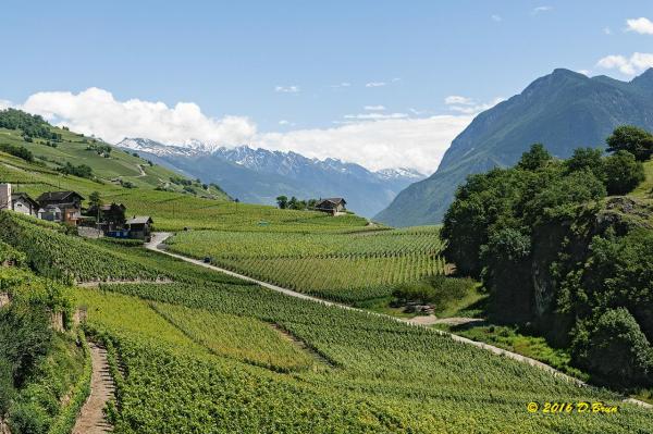 St-Léonard-Sierre-Leuk-005