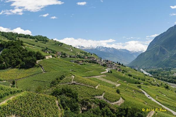 St-Léonard-Sierre-Leuk-009