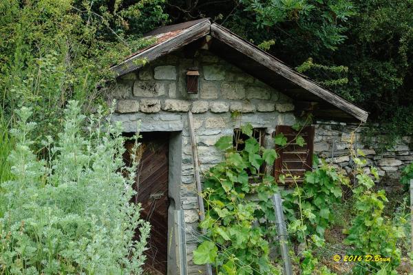 St-Léonard-Sierre-Leuk-034