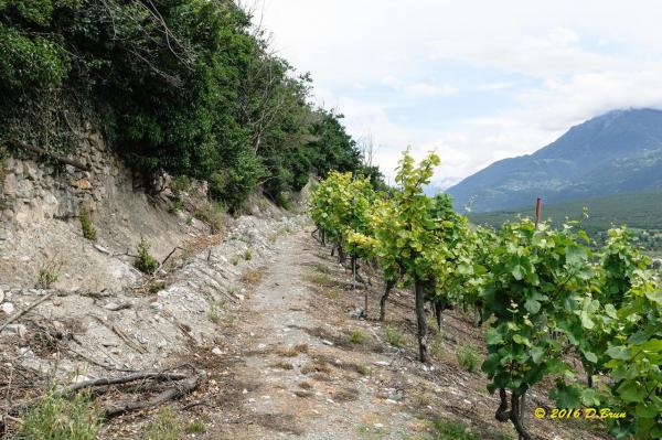 St-Léonard-Sierre-Leuk-038