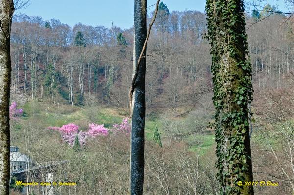 St-Livres-Yens-001