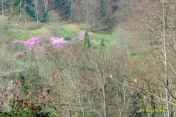 St-Livres-Yens-002