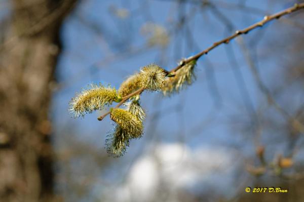 St-Livres-Yens-012