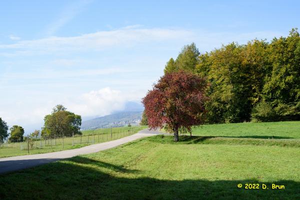 St Oyens 9