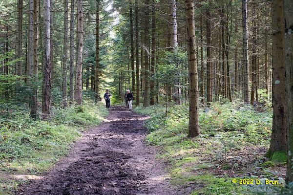 St Oyens 8