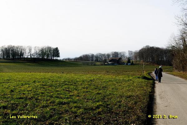 St Prex 009