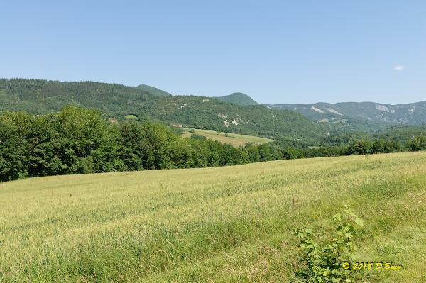 Valserine-016