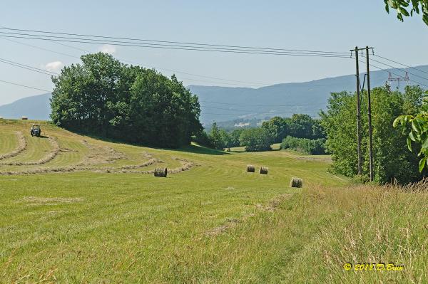 Valserine-017