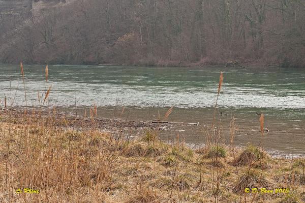 Verbois-Chancy-010