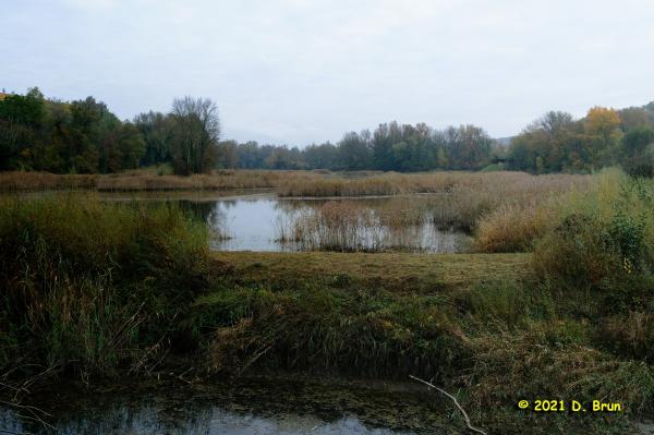 Verbois la plaine 002