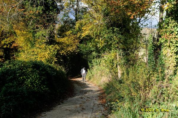 Verbois la plaine 012