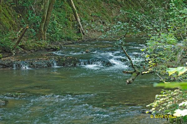 Versoix-Les-Dailles-002