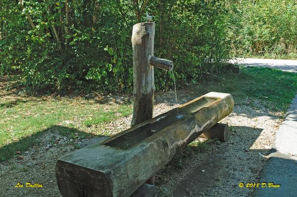 Versoix-Les-Dailles-003