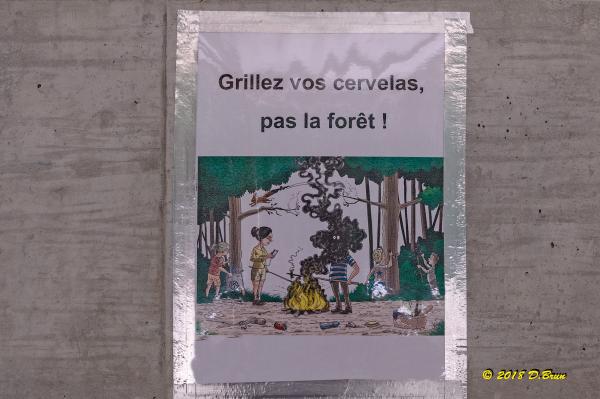 Versoix-Les-Dailles-013