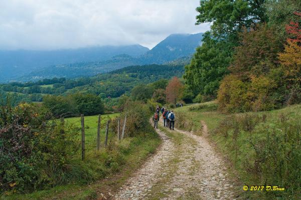 Vésancy-006